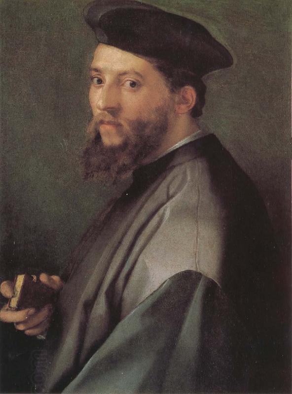 Andrea del Sarto Portrait of ecclesiastic China oil painting art